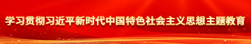 草日本女人的逼学习贯彻习近平新时代中国特色社会主义思想主题教育